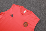 2025-26 Bayern Orange Tank top and shorts suit #D25141