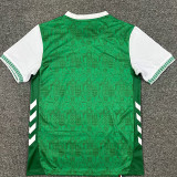 2025-26 Saint Etienne Home Fans Soccer Jersey