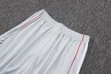 2025-26 Bayern Grey Training Short Suit #D25128