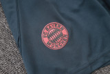 2025-26 Bayern Dark gray Tank top and shorts suit #D25142