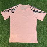 2025-26 PSG Pink Special Edition Fans Training shirts