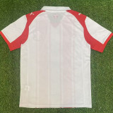 2025-26 Southampton Home Fans Soccer Jersey
