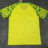 2025-26 Brazil Yellow Green Special Edition Training shirts