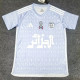 2024-25 Algeria Grey Special Edition Fans Training shirts