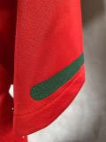 2010 Portugal Home Player Version 球员 Retro Soccer Jersey
