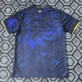 2025-26 CHE Champions Special Edition Training shirts