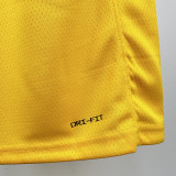 2022-23 Lakers AYTON #5 Yellow Top Quality Hot Pressing NBA Jersey(圆领)
