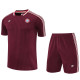 2025-26 Bayern Jujube red Training Short Suit