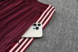 2025-26 Bayern Jujube red Training Short Suit