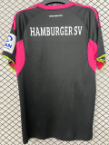 2025-26 Hamburg SV Third Fans Soccer Jersey