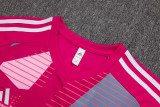 2025-26 Flamengo Pink Training Short Suit #D25153