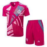 2025-26 Flamengo Pink Training Short Suit #D25153