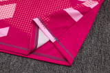 2025-26 Flamengo Pink Training Short Suit #D25153