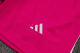 2025-26 Flamengo Pink Training Short Suit #D25153