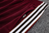 2025-26 Ajax Jujube red Kids Jacket Tracksuit #E2538(童装)