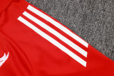 2025-26 LIV Red Kids Jacket Tracksuit #E2544(童装)