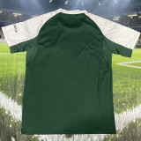 2025-26 Panathinaikos Green Fans Soccer Jersey