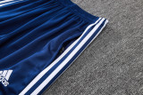 2025-26 RMA Royal blue Kids Jacket Tracksuit #E2549(童装)