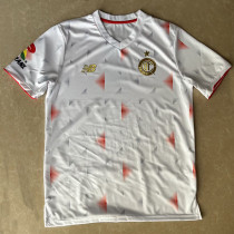 2025-26 Toluca Away Fans Soccer Jersey