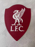 2025-26 LIV Away Player Version Soccer Jersey