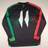 2025-26 Palestina FC Black Long Sleeve Training shirts (长袖)(红绿袖边)