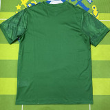 2025-26 Sporting Lisbon Green Training shirts