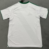 2025-26 Al-Ahli Saudi Home Fans Soccer Jersey