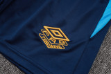 2025-26 Gremio Lake blue Training Short Suit #D25173