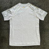 2025-26 RMA Silver Grey Special Edition Fans Training Shirts