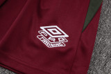 2025-26 Fluminense Jujube red Training Short Suit #D25179