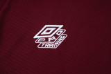 2025-26 Fluminense Jujube red Training Short Suit #D25179