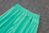 2025-26 Fluminense Green Training Short Suit #D25178