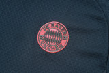 2025-26 Bayern Dark gray Training Short Suit #D25169
