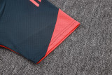 2025-26 Bayern Dark gray Training Short Suit #D25169