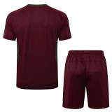 2025-26 Fluminense Jujube red Training Short Suit #D25179