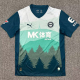 2025-26 Alaves Third Fans Soccer Jersey