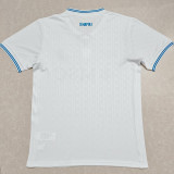 2025-26 Napoli UEFA CL Away Fans Soccer Jersey (欧冠版)