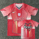 2025-26 BAR Pink Concept Edition Training shirts (KA前后图)