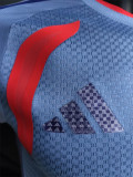 2026-27 Japan Grey Player Version Training shirts