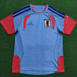 2026-27 Japan Grey Player Version Training shirts