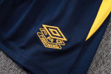 2025-26 Santos FC Royal blue Tank top and shorts suit #D25184