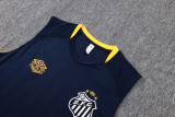2025-26 Santos FC Royal blue Tank top and shorts suit #D25184