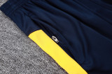 2025-26 Santos FC Royal blue Tank top and shorts suit #D25184