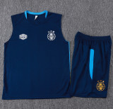 2025-26 Gremio Royal blue Tank top and shorts suit #D25197