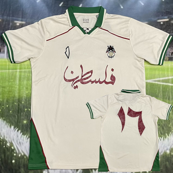 2025-26 Palestina Beige Training shirts (#17)绿领