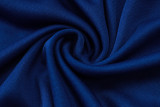 2025-26 ARS Fancy blue Short shirts and Long trousers Suit #C2566
