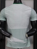 2026 Mexico World Cup Culture Promotion Green Player Version Training shirts