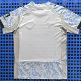 2025-26 Palermo Third Fans Soccer Jersey