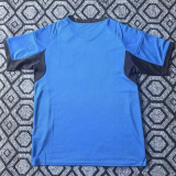 2025-26 Japan Blue Special Edition Training shirts (三叶标)