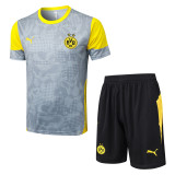 2025-26 Dortmund Light gray Training Short Suit #D25212